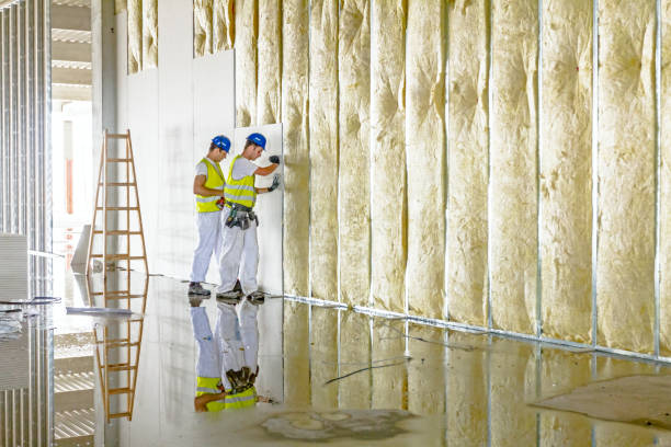 Best Commercial Insulation in Mustang, OK